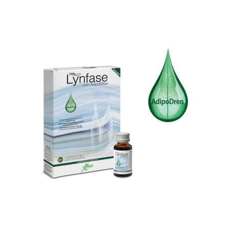 LYNFASE CONCENTRADO FLUIDO MONODOSIS 12 U