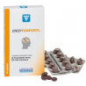 ERGYFOSFORYL 60 CAP
