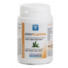ERGYFLAVONA 60 CAP