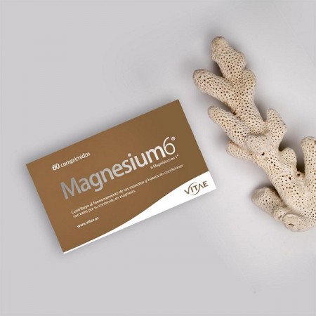 MAGNESIUM 6 60 COMPPRIMIDOS