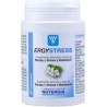 ERGYSTRESS BOTE 60 CAP