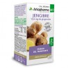 ARKOPHARMA JENGIBRE 48 CAP