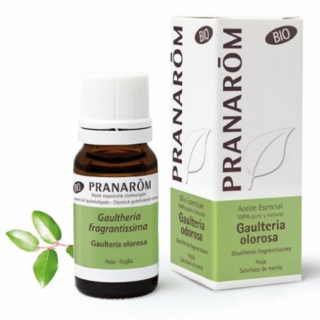 ACEITE ESENCIAL PRANAROM BIO GAULTERIA OLOROSA 10 ML