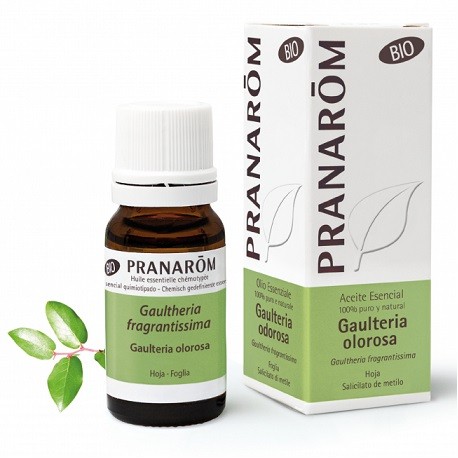 ACEITE ESENCIAL PRANAROM BIO GAULTERIA OLOROSA 10 ML